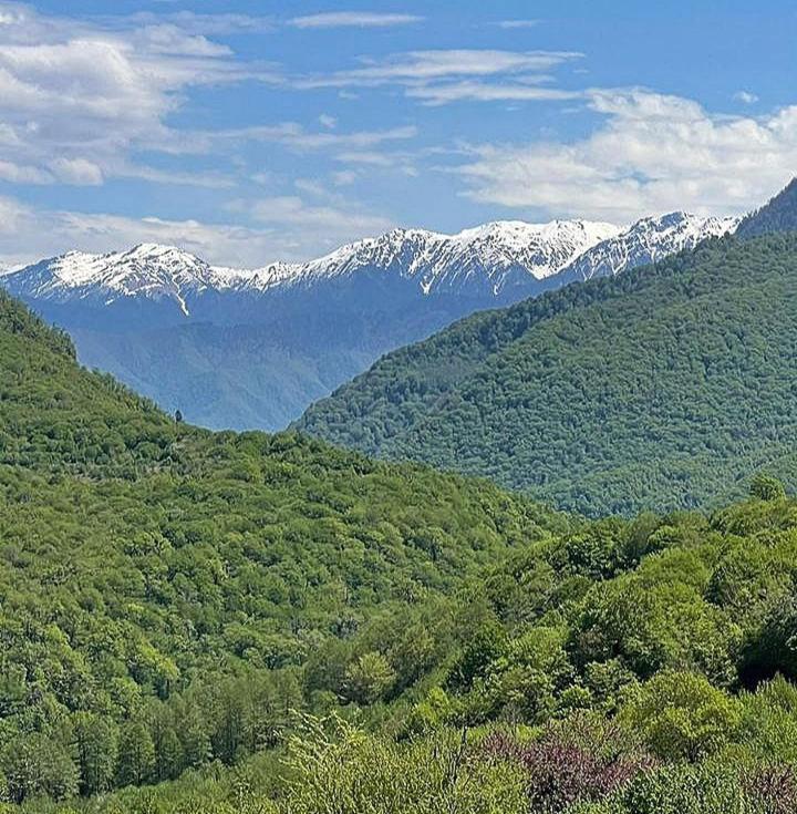 Bed and Breakfast Гостевой Дом "Амза" à Tqvarcheli Extérieur photo